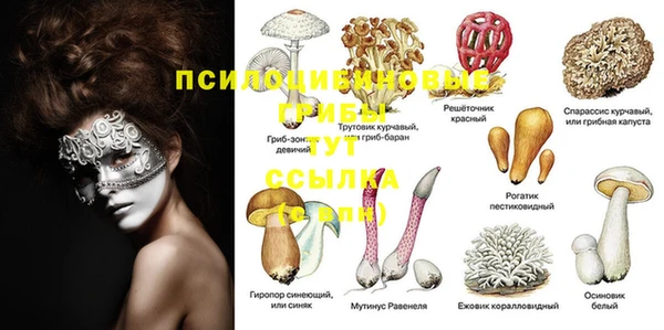 герыч Козловка