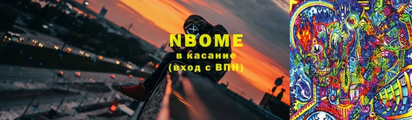 амф Козельск