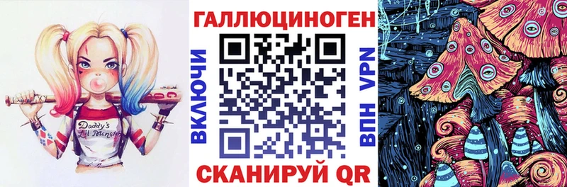 Купить где Осинники Галлюциногенные грибы Psilocybe